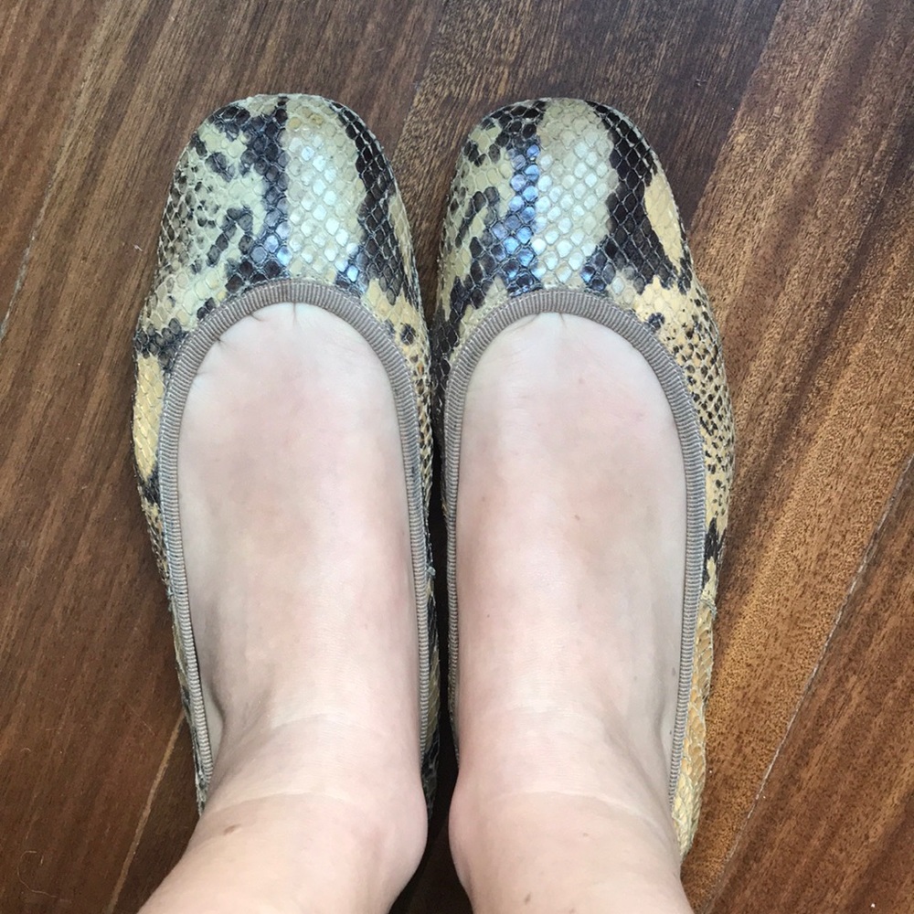 Hollywould snake ballet flats